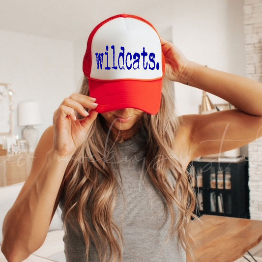 Distressed Wildcats Hat