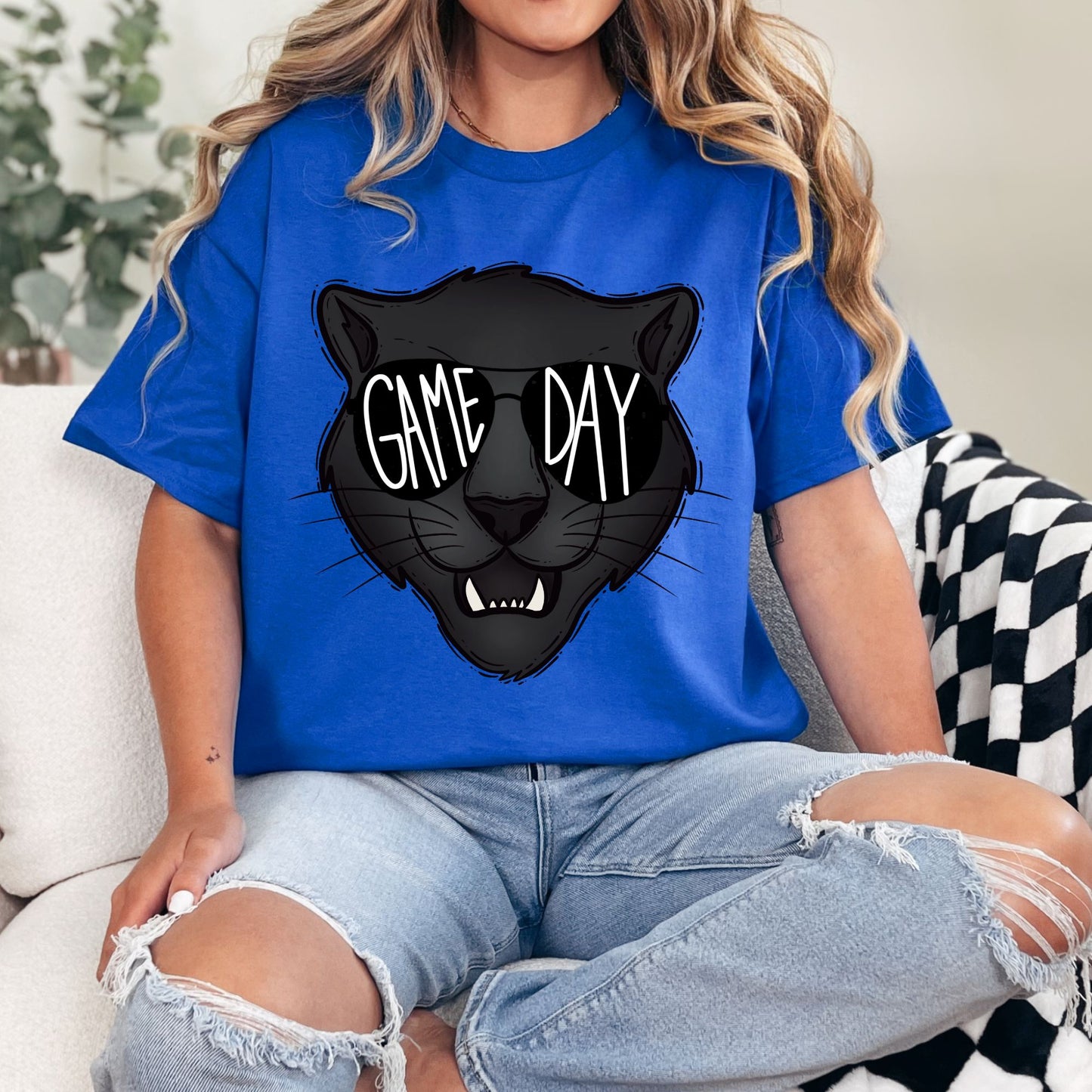 Game Day Panthers