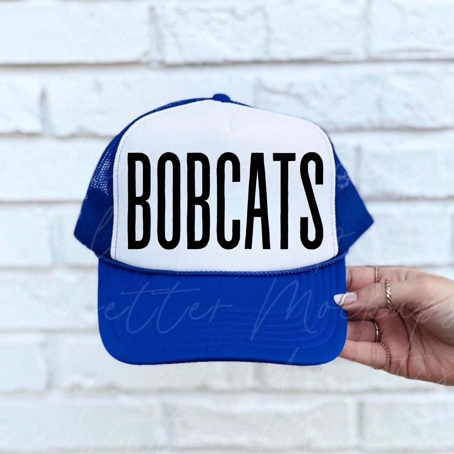 BOBCATS Hat